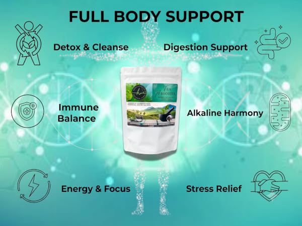 The Laws of Cellular Regeneration